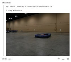 The Best of Tumblr