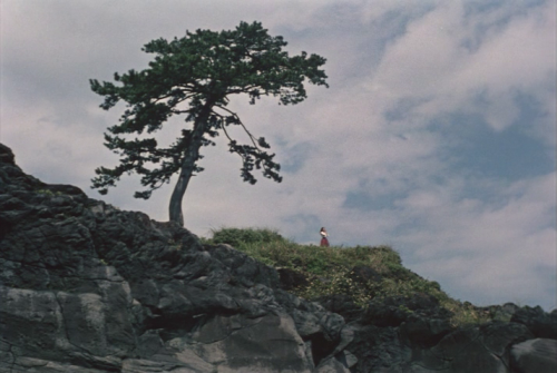 cinema-enigmatic: THE BLUE SKY MAIDEN (Yasuzô Masumura, 1957)