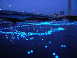 Excdus:  As Part Of The Recent Tokyo Hotaru Festival, 100,000 Illuminated Blue Leds