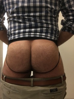 bearlywill.tumblr.com post 153486193211