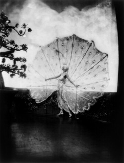 hauntedbystorytelling:  Alfred Cheney Johnston :: Dolores, Kathleen Rose, aka “Rose Dolores”, as The White Peacock   in peacock plume dress with feathers spread out, in Ziegfeld Midnight Frolic, 1917-1923 / src: wikimedia more [+] by this photographer