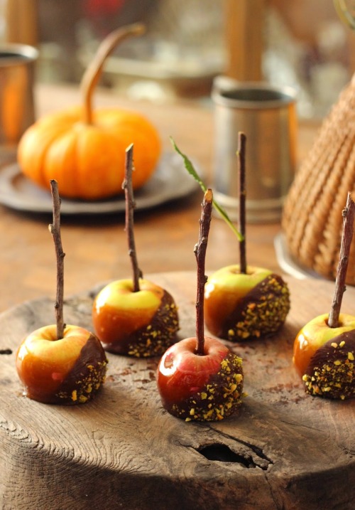 magicalfoodtime:(via Treese, Love, Happiness.: Vegan Caramel Apples with Dark Chocolate and Pistachi