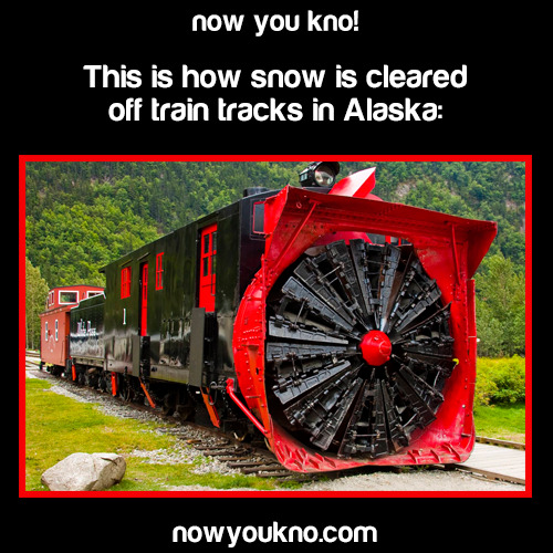 wandererindisguise:  nowyoukno:  Source for more facts like this follow NowYouKno  im mind blown 