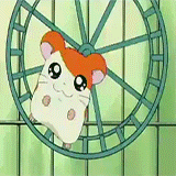 anarchycupcake:  Toonami’s Arsenal [29/88]: Hamtaro (2002 - 2004) “Well … they