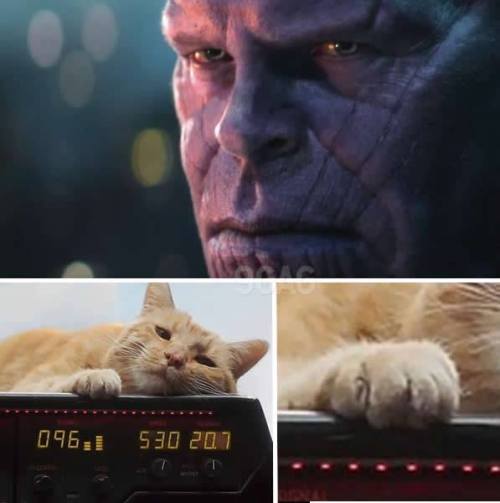 memeslibrary: pinkhindi.com/seemoreandfunny