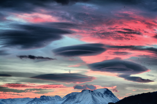 nubbsgalore: as mentioned in this earlier post, lenticular clouds are typically formed near mountain