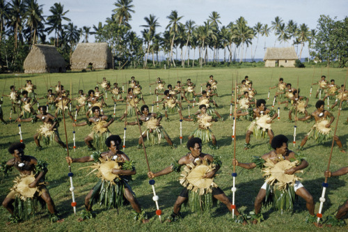 Dancing men brandish spears and palm-leaf shields in Fiji, November 1958.Photograph by Luis Marden, 