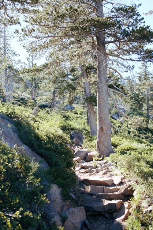 After years of never hiking off Highway 80 in the northern part of Lake Tahoe, I finally made the tr