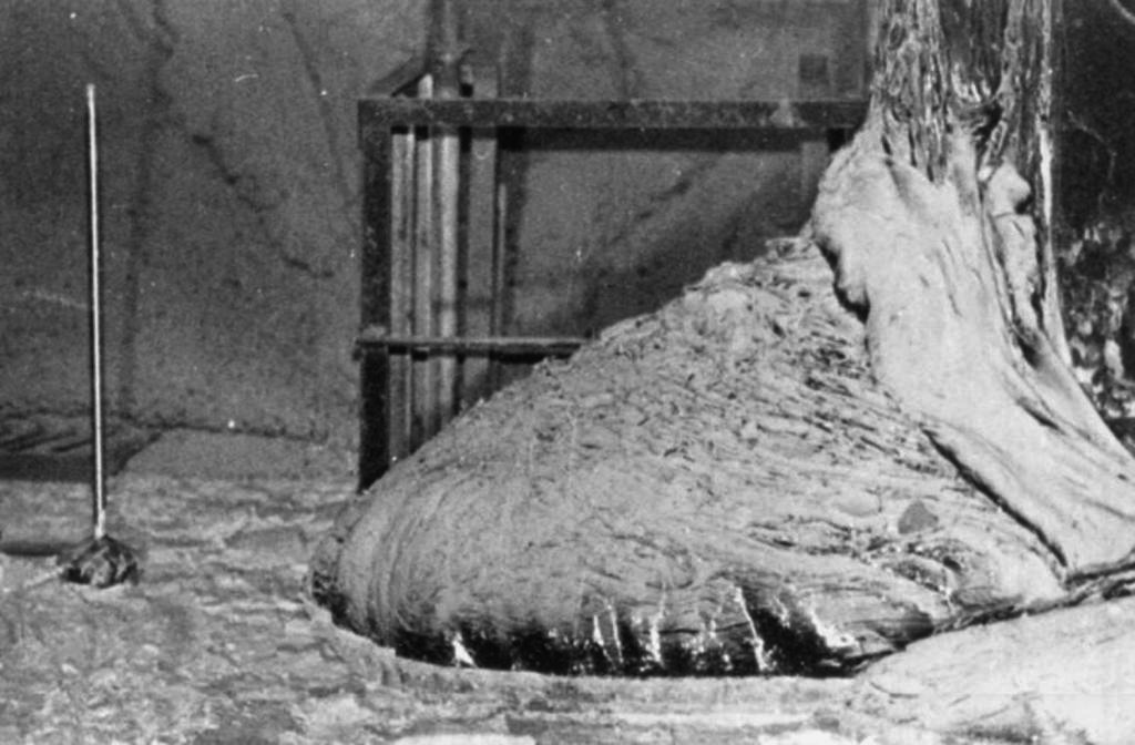 chaosophia218:  One of the most dangerous pictures ever taken - Elephant’s Foot,