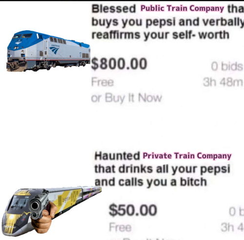 riiovkatt - professional train freak