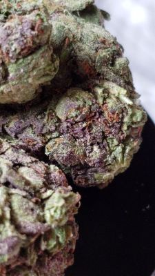 :Blue Cheese 🤤 no filter 
