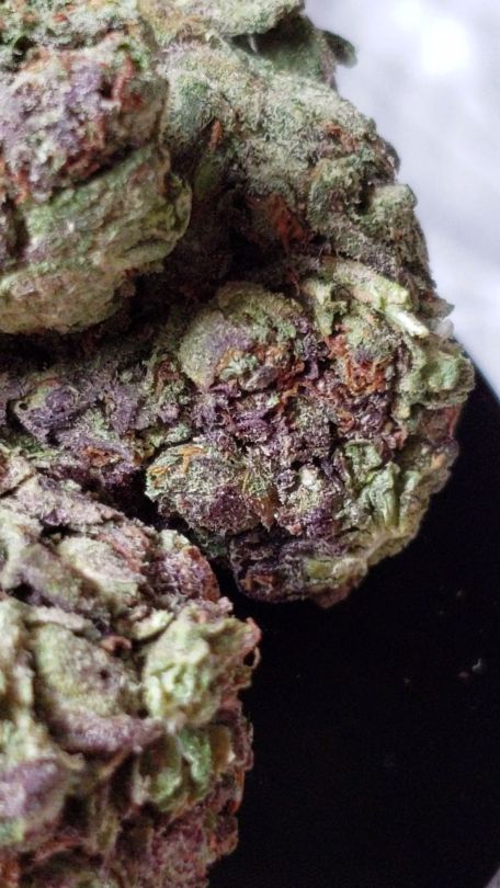:Blue Cheese 🤤 no filter 