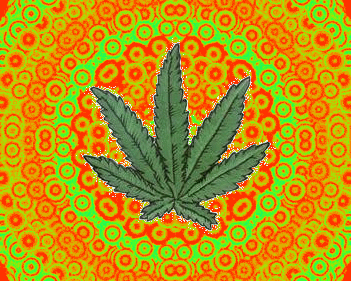 Are you feeling it?