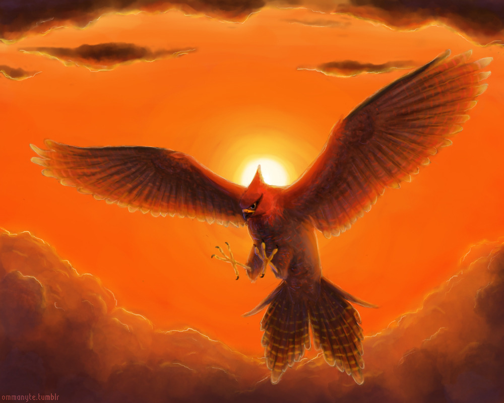 ommanyte:  Day 8: Favourite Flying type - Talonflame Even though it’s a newbie,