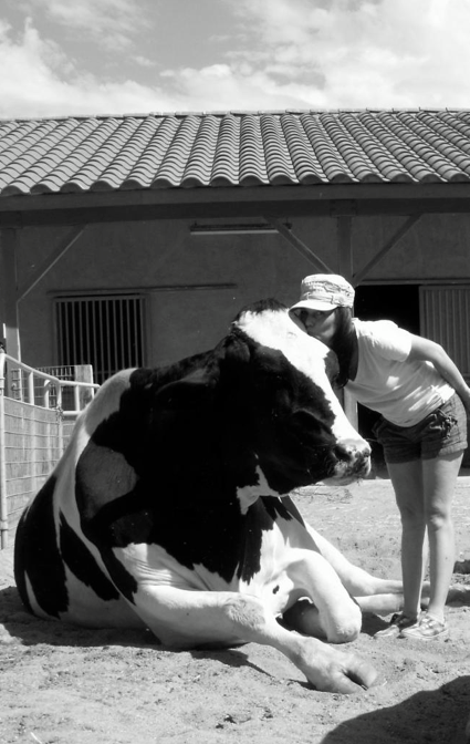 veganswithanimals:My Vegan Journal kissin’ a MASSIVE cow!