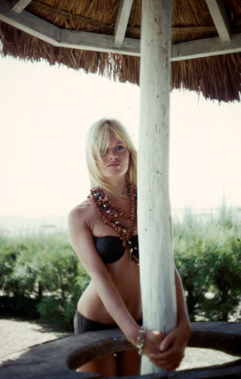 miloradmadzar:  (via Brigitte Bardot photo #384788 | theplace2.ru)  
