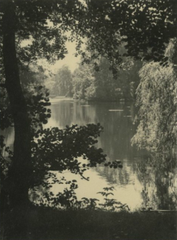 dame-de-pique:   P.Boon - Haagse Bos, vijver, 1940 