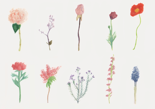 saepphire:pixelame:I never do nature things so here take some flowersmade with watercolors-