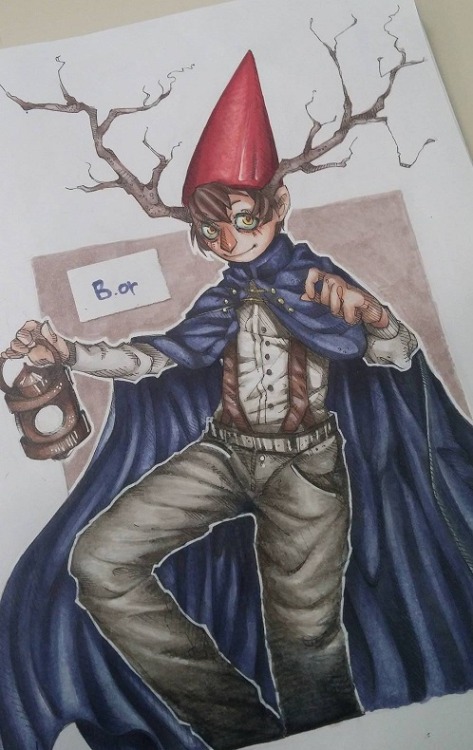 beast wirt otgw