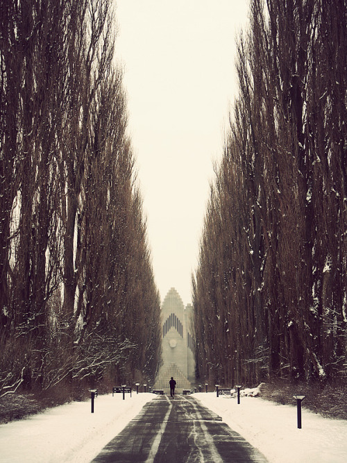 arpeggia:  Kim Høltermand - Grundtvigs Church, 2009 
