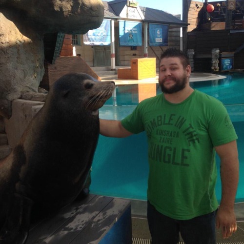 Sex unstablexbalor: Zoo Enthusiast Kevin Owens pictures