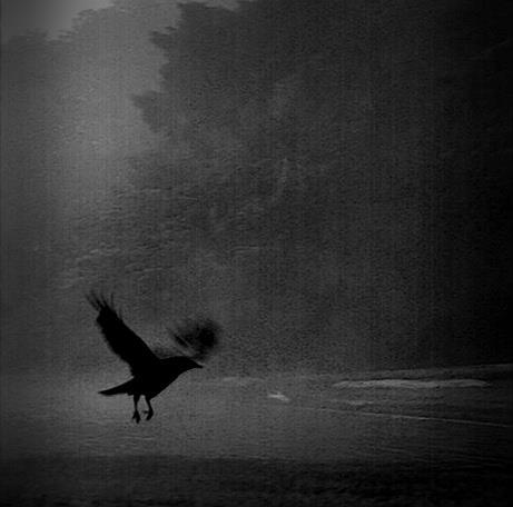 THE GLOOM!