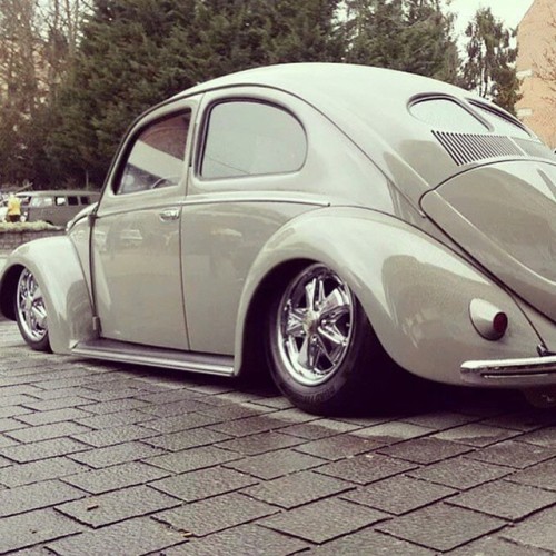 #aircooled #aircooledvw #aircooledvdub #cambered #aircooledvolkswagen #vwporn #beetle #vwbeetle #bug