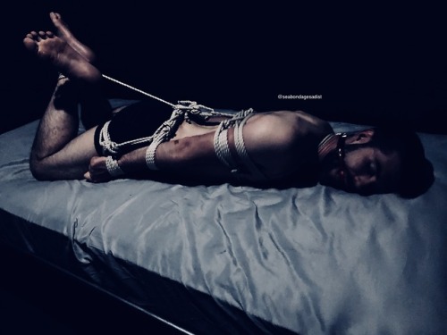 After a wonderful little while of struggling while chair tied a hogtie was in order.  This one loves