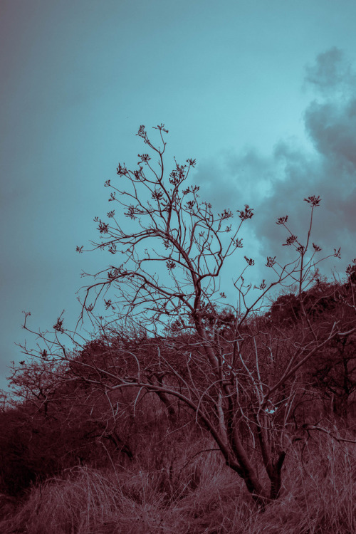 La fuerza del cerro. San Juan Cosalá, Jalisco