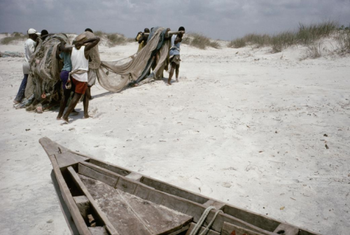 Alex Webb: Fishing in Mozambique (2002)