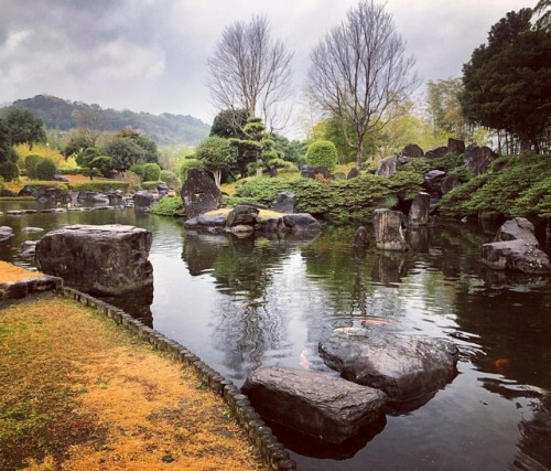 ＼おにわさん更新情報／ ‪[ 熊本県水俣市 ] 竹林園（エコパーク水俣） Chikurinen Bamboo Garden (Ecopark Minamata), Kumamoto の写真・記事を更新