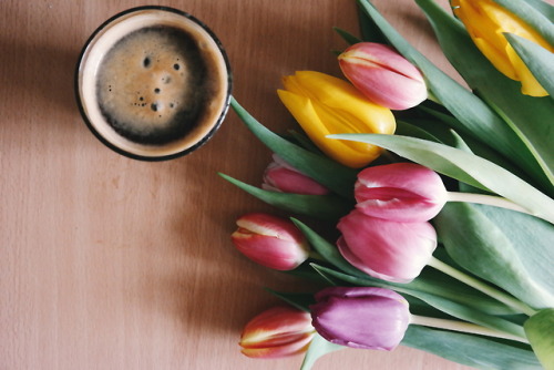 instructor144: Your morning coffee porn. With tulips!!