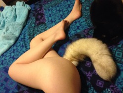 verycuriousvirgin:  My kitty likes this tail…