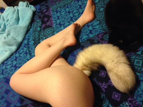 Porn Pics verycuriousvirgin:  My kitty likes this tail…