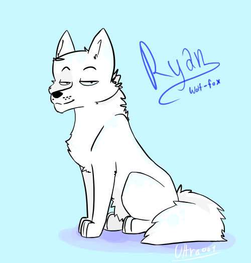 So this is Ryan the Wolf-Fox! He&rsquo;s one of the first Characters iv ever made, so he&rsq