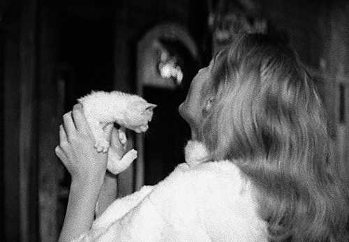 Stevienick:✫ Cats In Film (3 / ∞)La Dolce Vita (1960)American Psycho (2000)Lamb