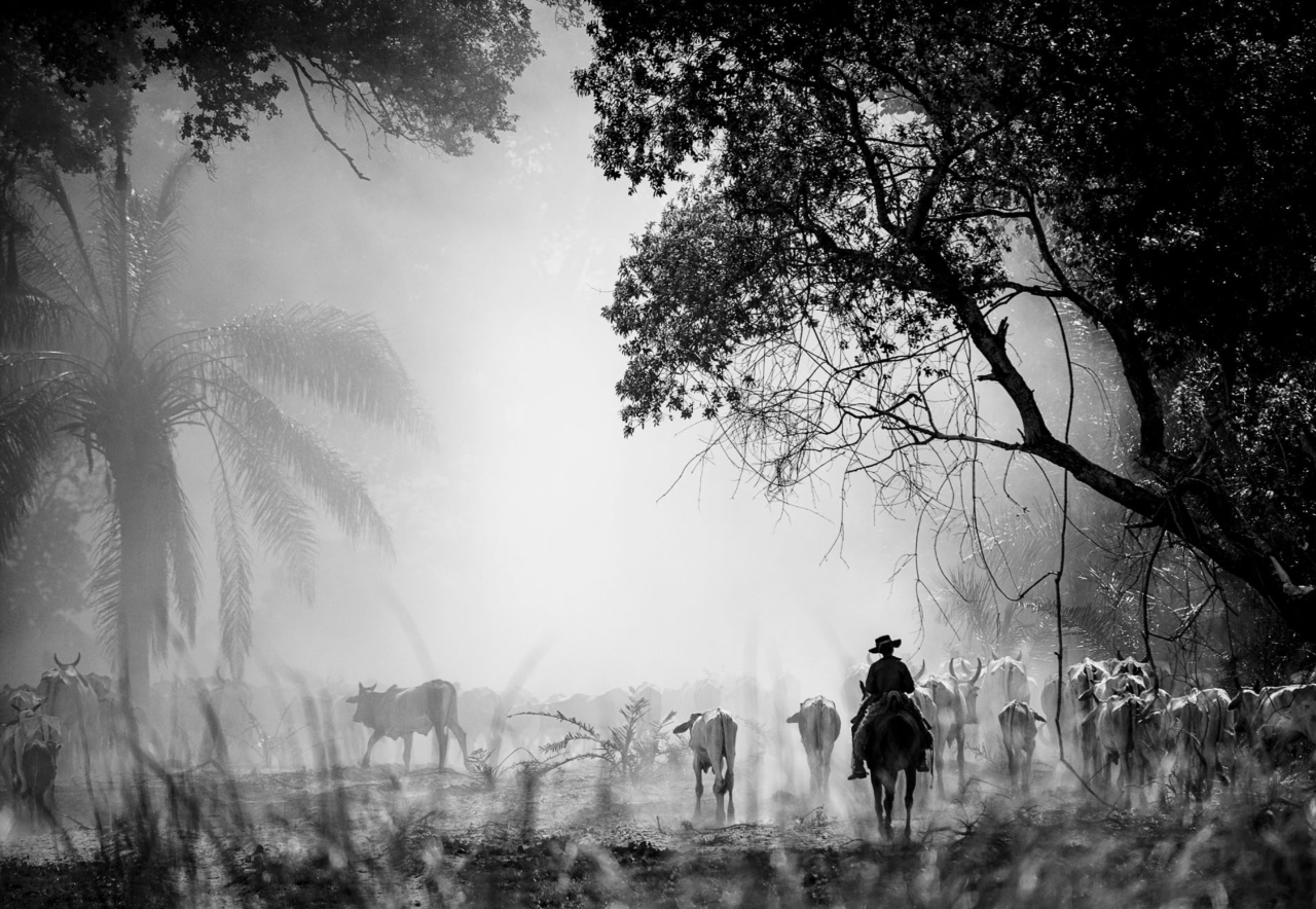 Pantanal - peão tem reação de pânico ao ouvir que personagem é