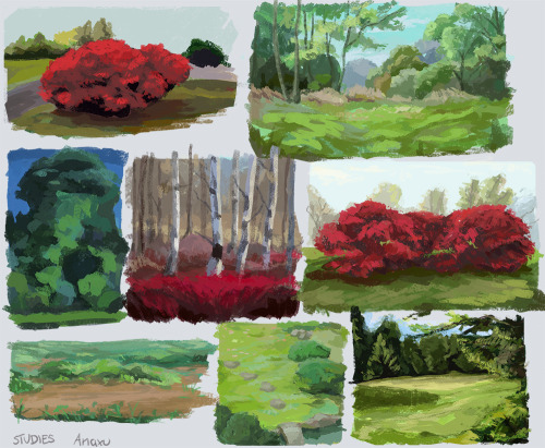 todays photo studies