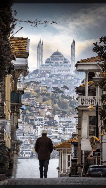 blue–folder:Standing in Europe, looking at Asia: an Istanbul street.