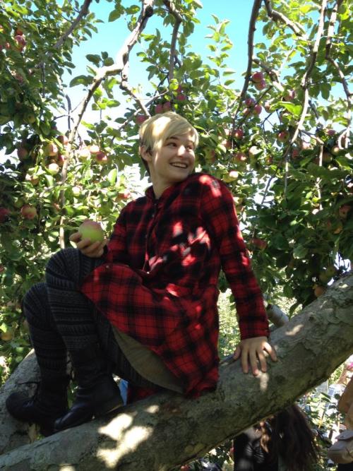 rainbowodyssey:  kallistoi: As a sweet apple reddens/ on a high branch/ at the tip of the topmost bo