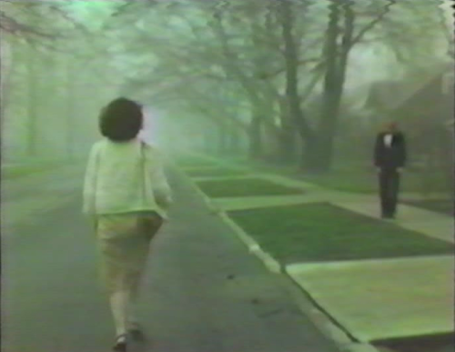 cinema-enigmatic: Cecelia Condit, “Possibly in Michigan,” 1983