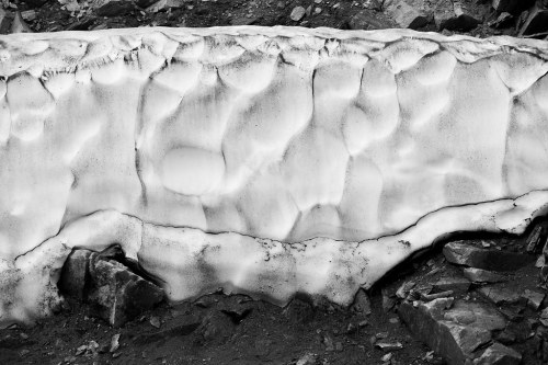 Snowbank Beartooth Pass, MT.