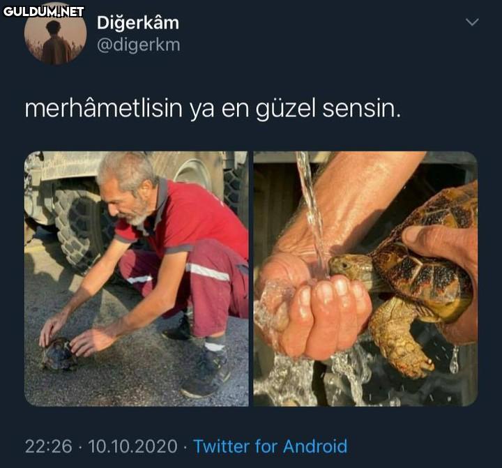 Diğerkâm @digerkm...