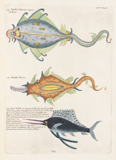 statelibrarynsw: Poissons, ecrevisses et crabes, de diverses couleurs et figures extraordinaires, qu