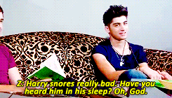 softjimis: &ldquo;I once read Harry’s journal and there’s six pages of knock-knock