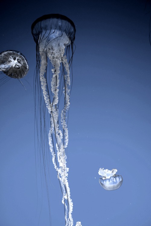 10bullets:  by Christophe Bustin 