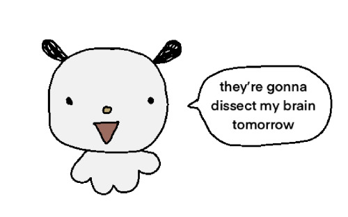 Yay