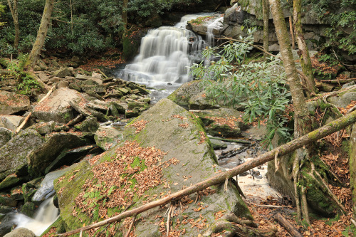 Above are the first two cataracts of Elakala Falls on Shays Run at Blackwater Falls State Park. Two 