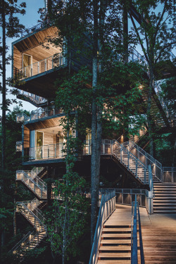 livingpursuit:  Sustainable Treehouse by