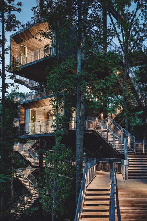 Porn Pics livingpursuit:  Sustainable Treehouse by